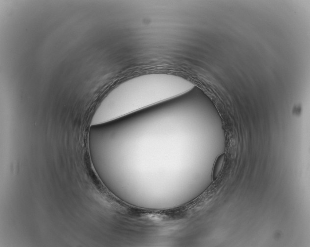 X0000091310654200708101109