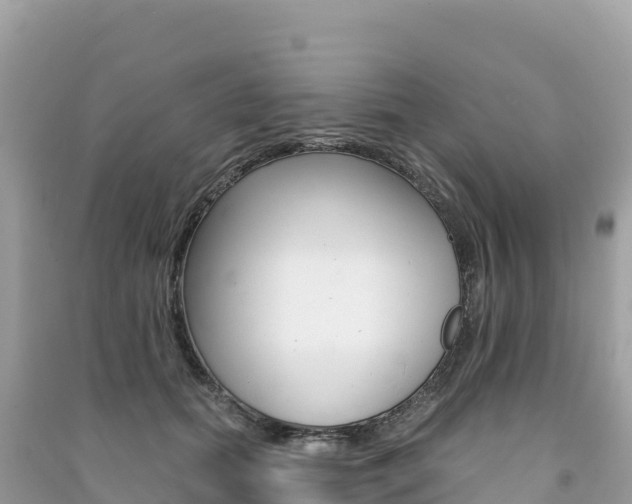 X0000091310655200708101110