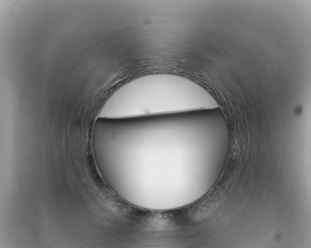 X0000091310656200708101110