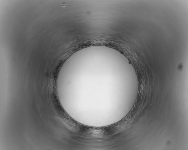 X0000091310659200708101110
