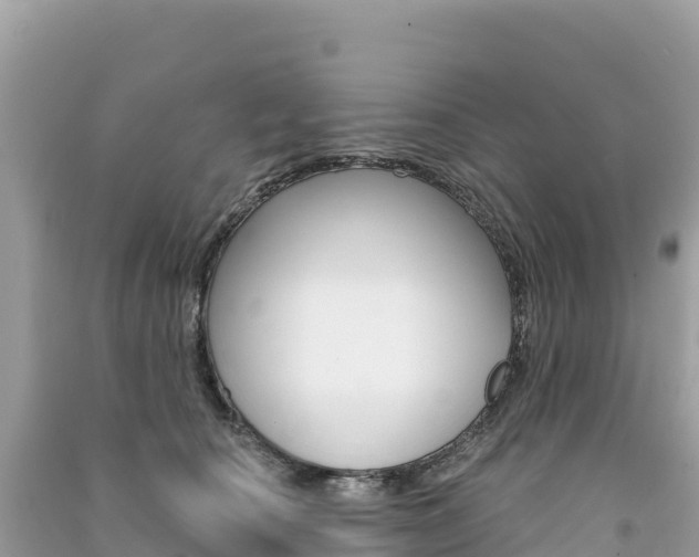 X0000091310660200708101110