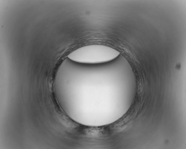 X0000091310661200708101110