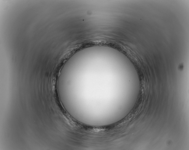 X0000091310664200708101110