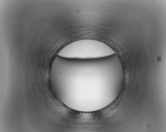 X0000091310665200708101110