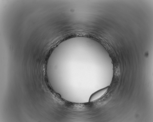 X0000091310666200708101110