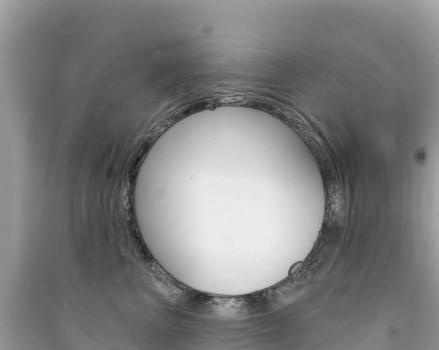 X0000091310667200708101110