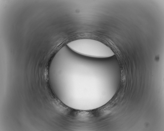 X0000091310669200708101110