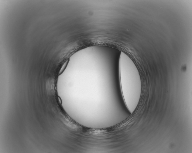 X0000091310670200708101110