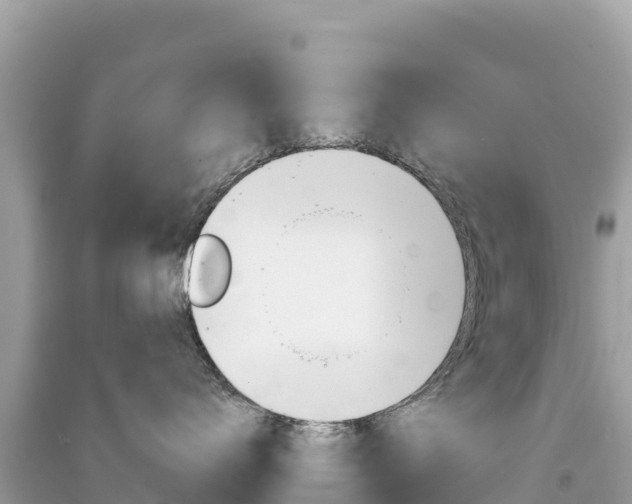 X0000091310672200708101110