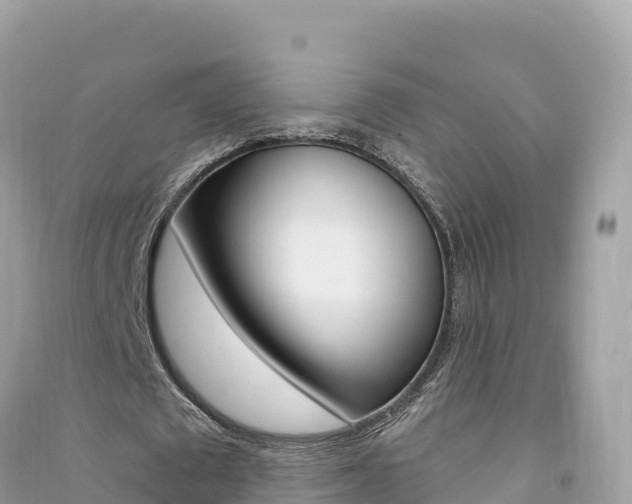 X0000091310673200708101109