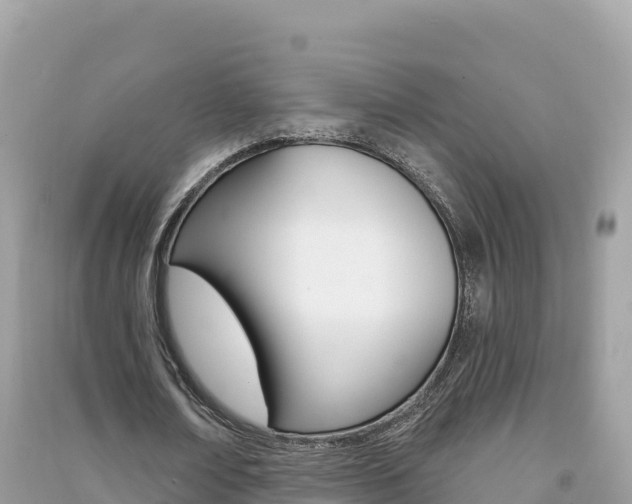 X0000091310674200708101109