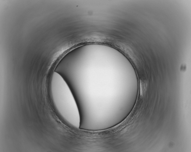 X0000091310675200708101109
