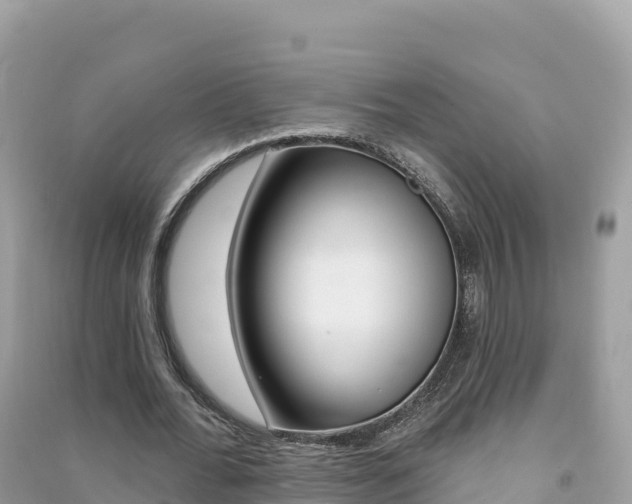 X0000091310676200708101109