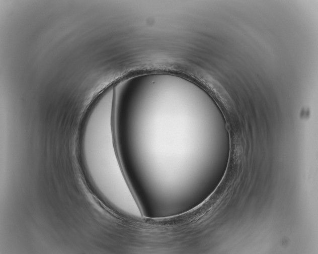 X0000091310677200708101109