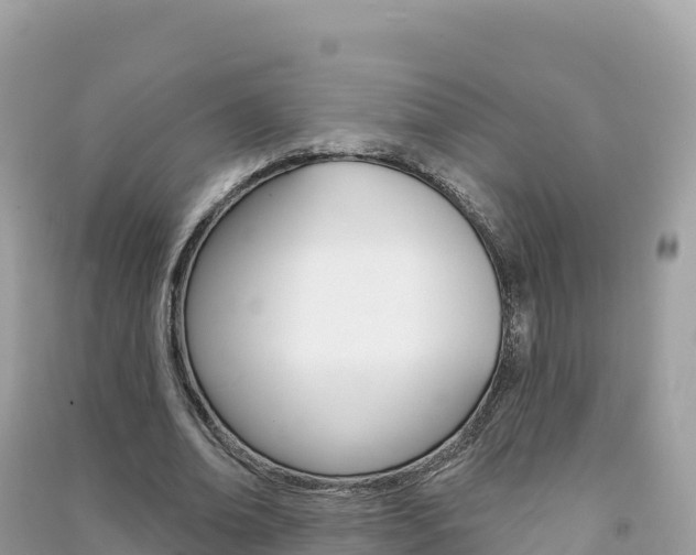 X0000091310678200708101109
