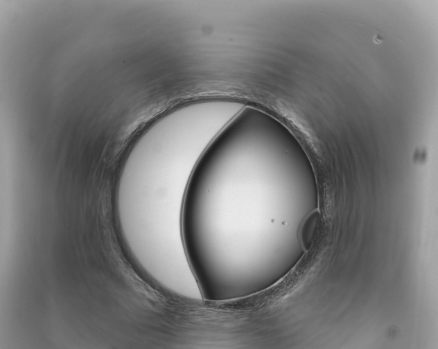 X0000091310681200708101109