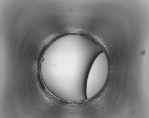 X0000091310682200708101109