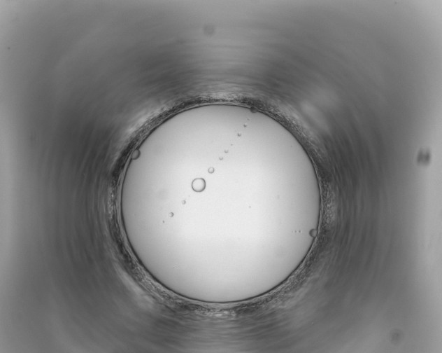 X0000091310683200708101109