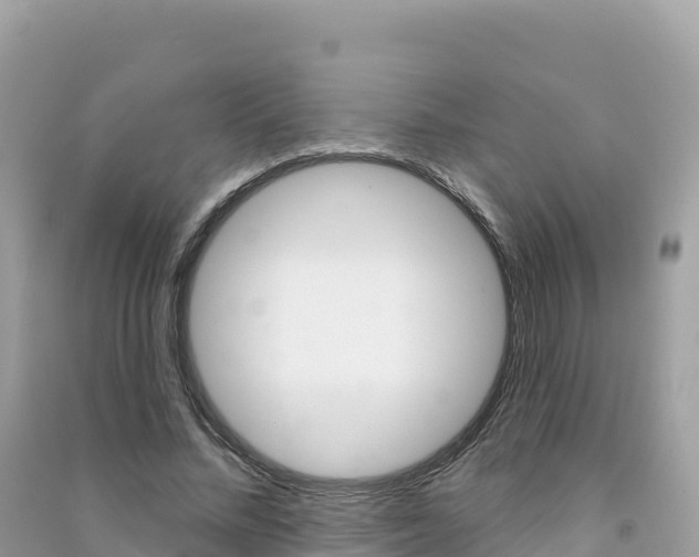 X0000091310684200708101109