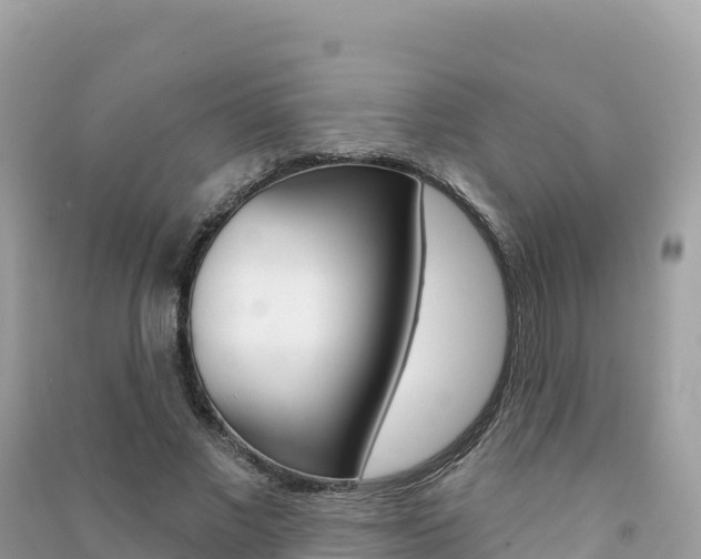 X0000091310685200708101109