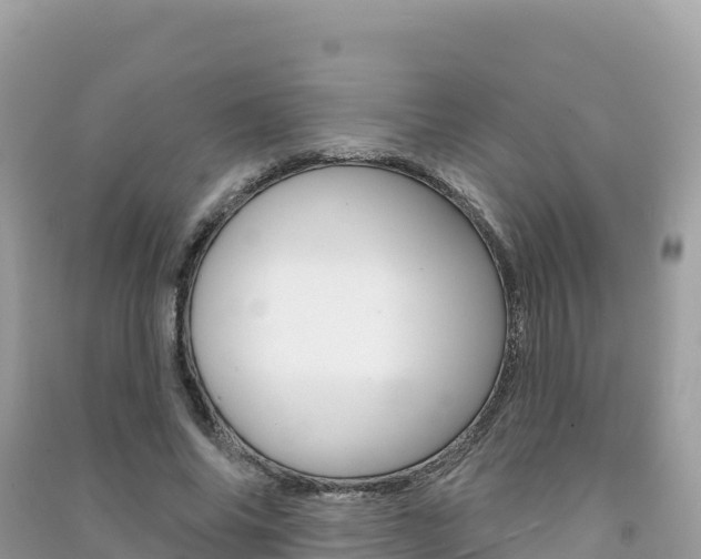 X0000091310686200708101109