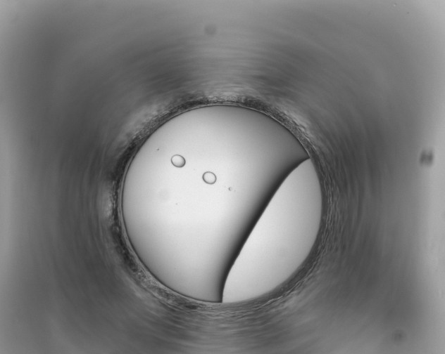 X0000091310687200708101109