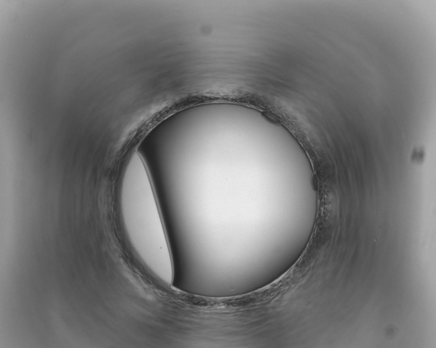 X0000091310688200708101109