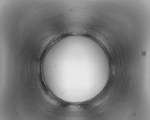 X0000091310690200708101109