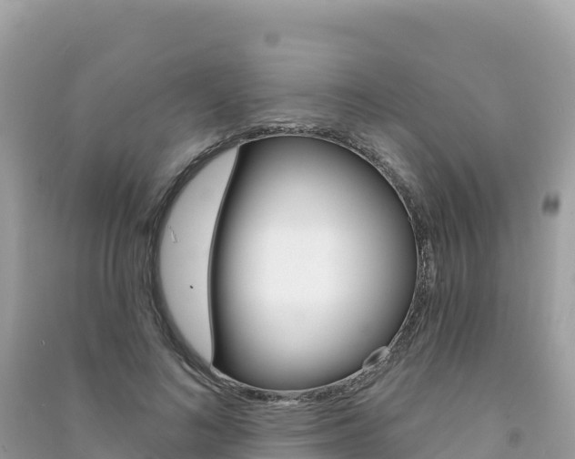 X0000091310692200708101109