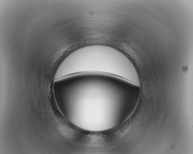X0000091310693200708101109