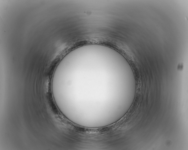X0000091310694200708101109