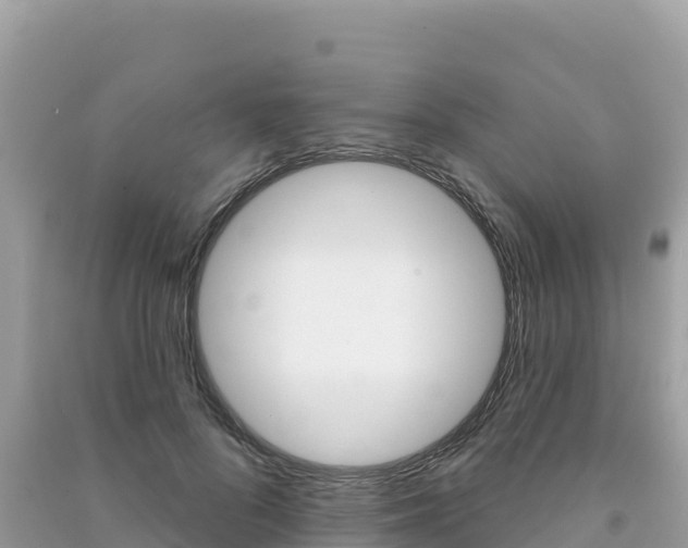 X0000091310696200708101109