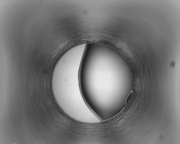 X0000091310697200708101109