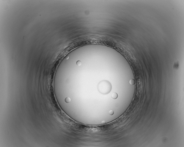 X0000091310698200708101109