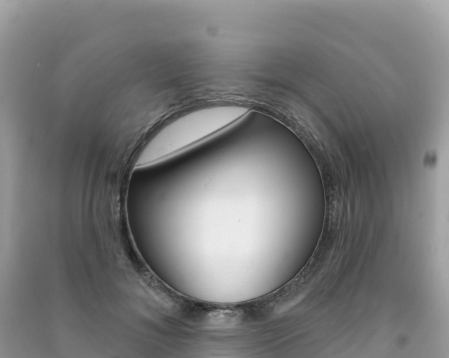 X0000091310700200708101109