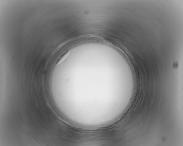 X0000091310701200708101109