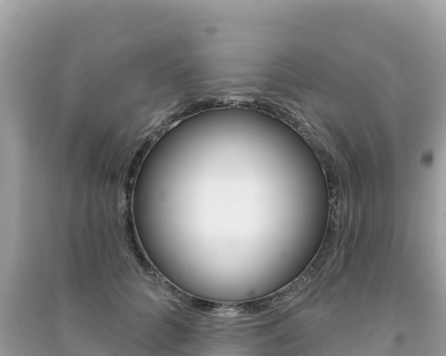 X0000091310704200708101109