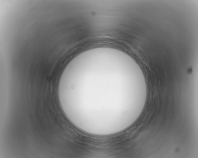 X0000091310705200708101109