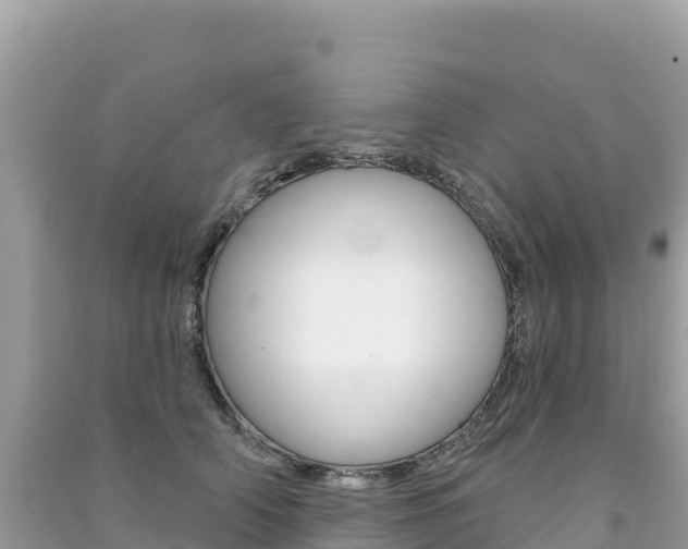 X0000091310706200708101109