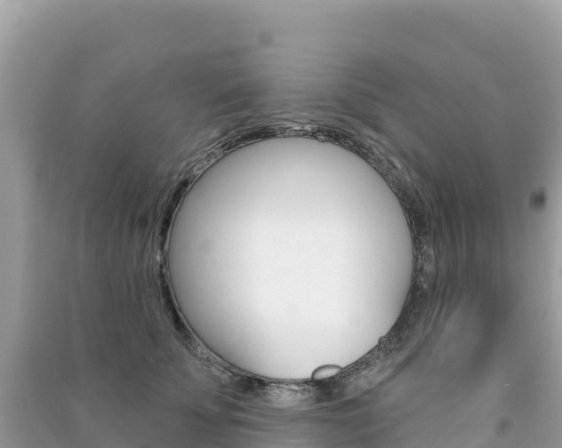 X0000091310707200708101109