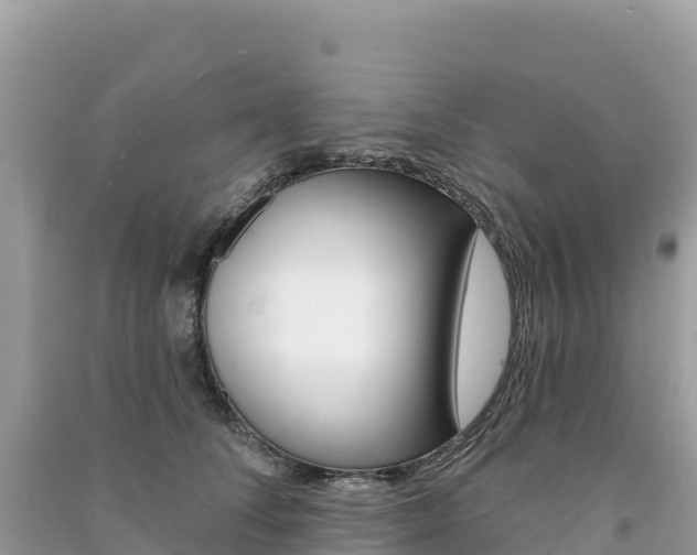 X0000091310708200708101109
