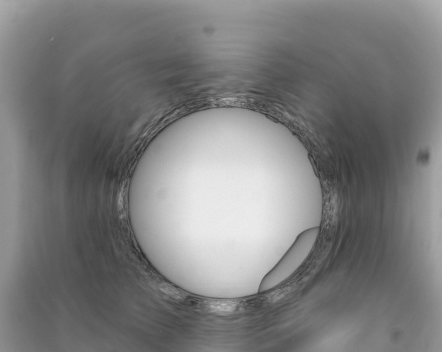 X0000091310709200708101109