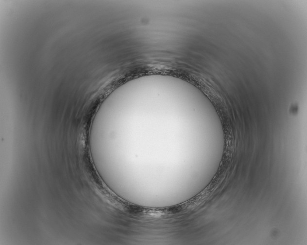 X0000091310710200708101109