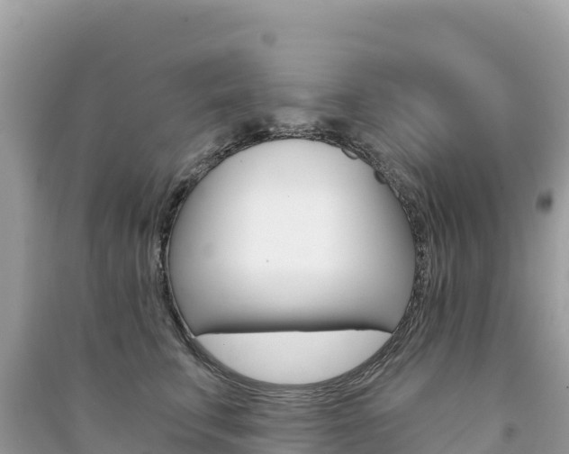 X0000091310711200708101109