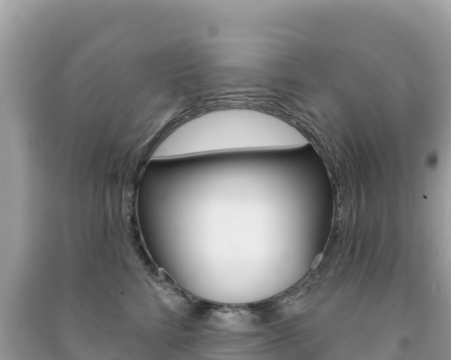 X0000091310712200708101109