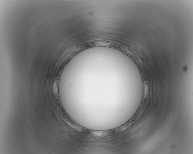 X0000091310713200708101109