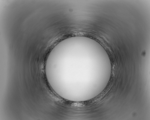 X0000091310714200708101109