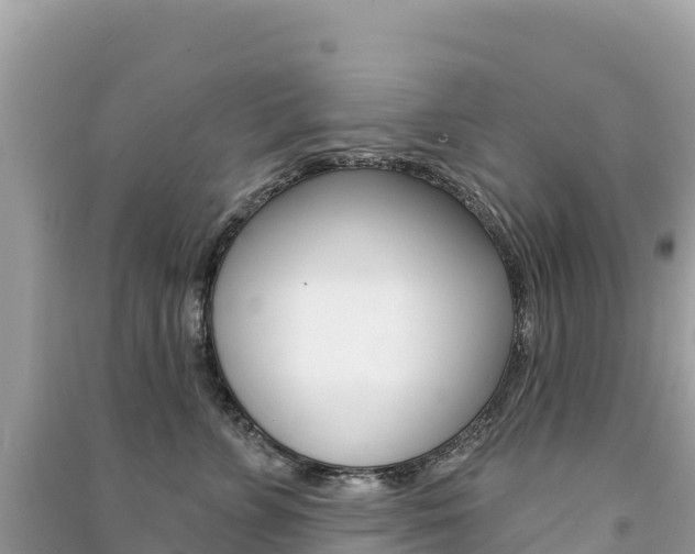 X0000091310715200708101109