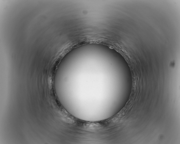 X0000091310716200708101109