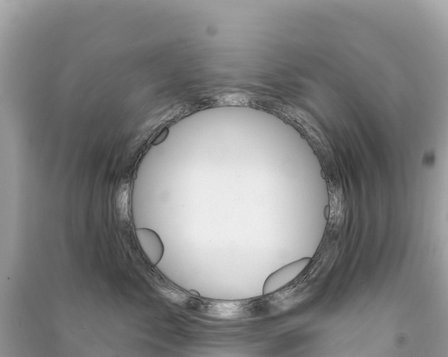 X0000091310717200708101109